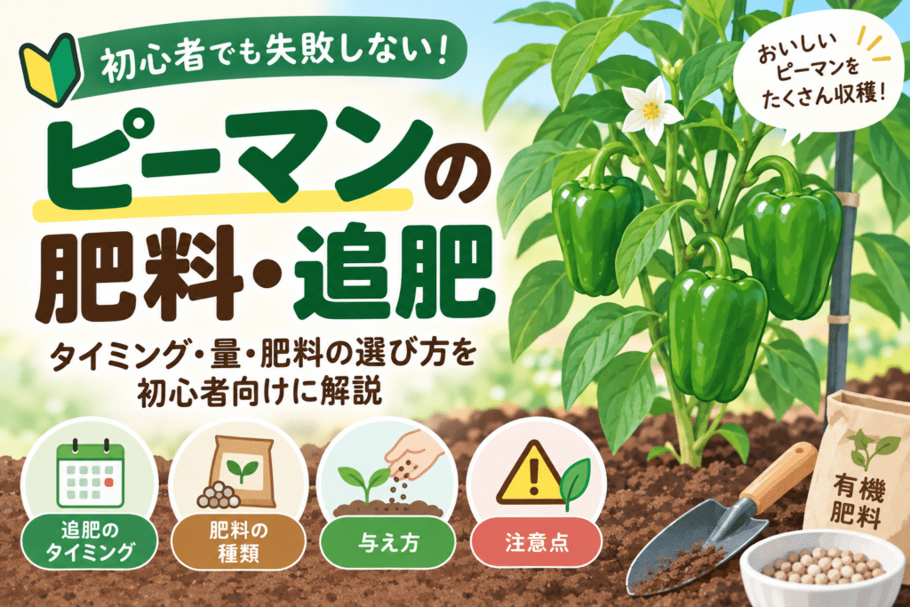 ピーマンの肥料・追肥