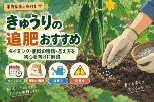 きゅうりの追肥おすすめ