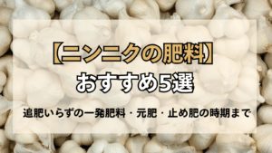 ニンニクの肥料おすすめ5選！追肥不要の一発肥料・元肥・止め肥の時期まで解説