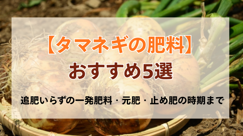 タマネギの肥料おすすめ5選｜追肥いらずの一発肥料・元肥・止め肥の時期まで比較