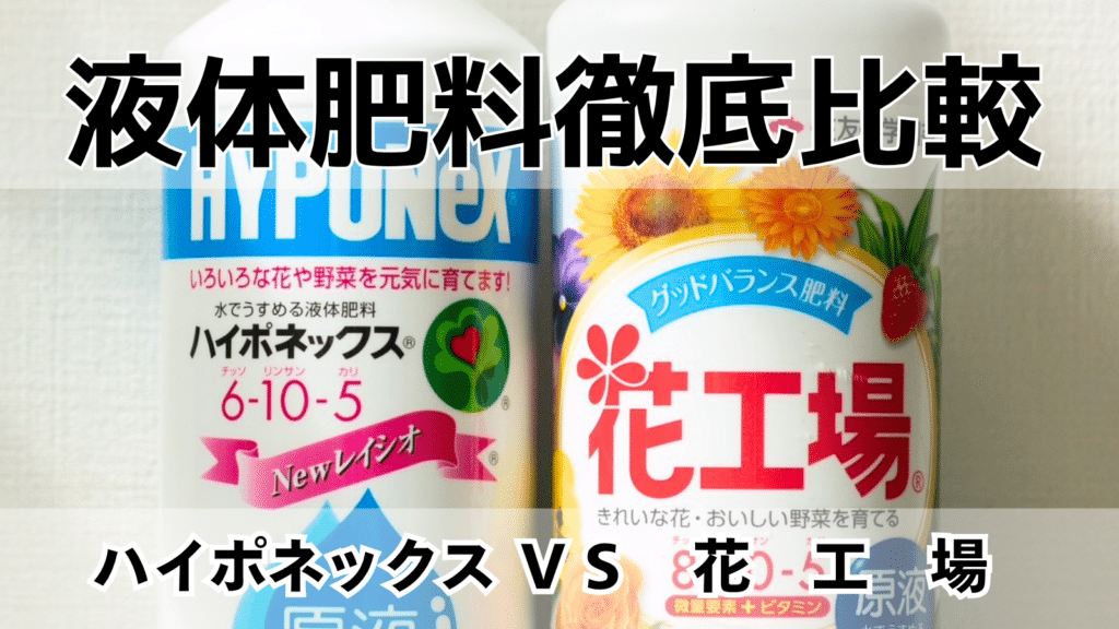 花工場とハイポネックスの違いを徹底比較