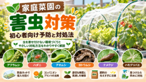 家庭菜園の野菜に付いた害虫と防虫ネットによる対策を表したイラスト